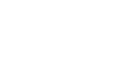 Nester & Finn logo